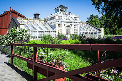 drottning Margareta Leijonhufvud Gripsholms slott